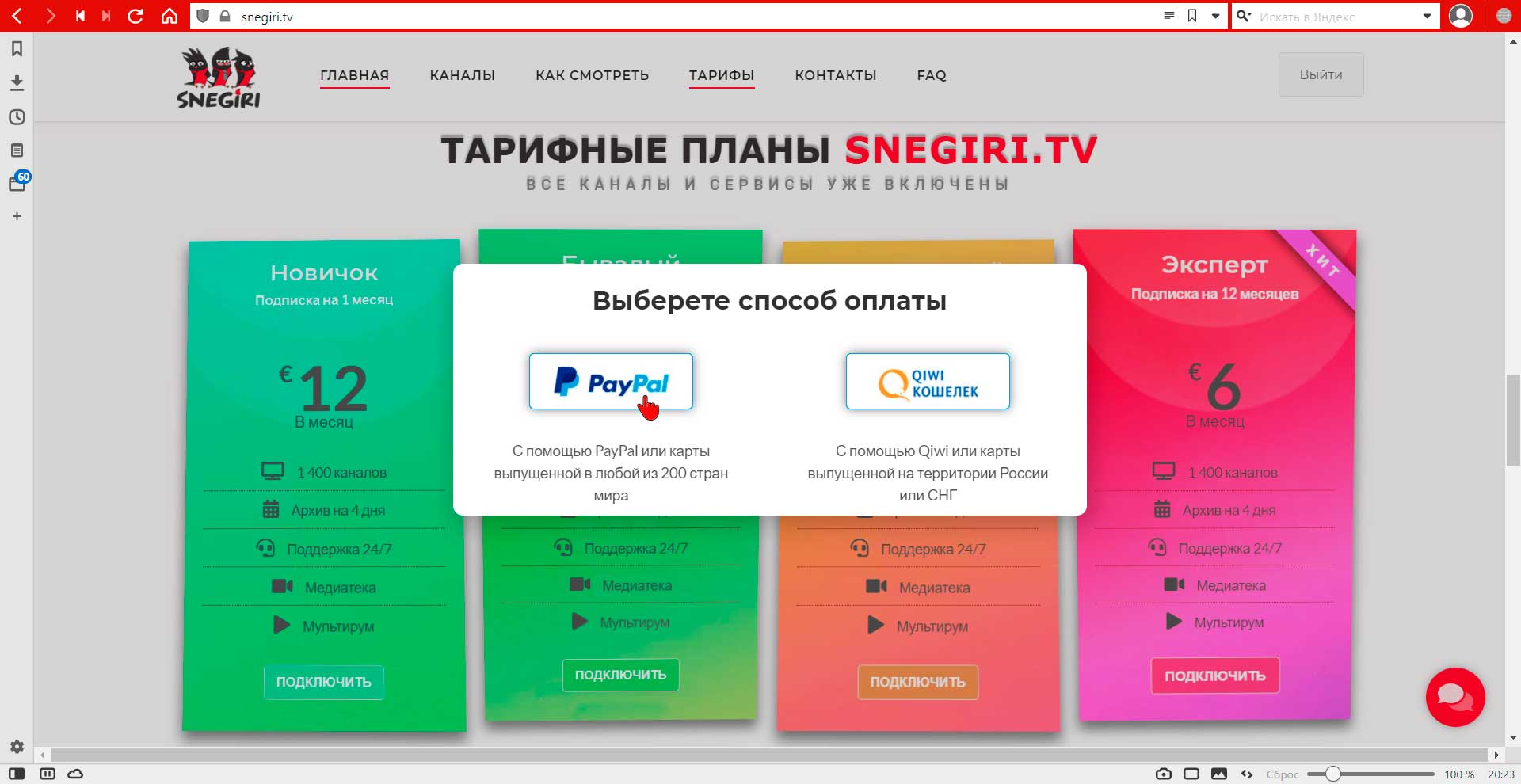 Оплата через PayPal