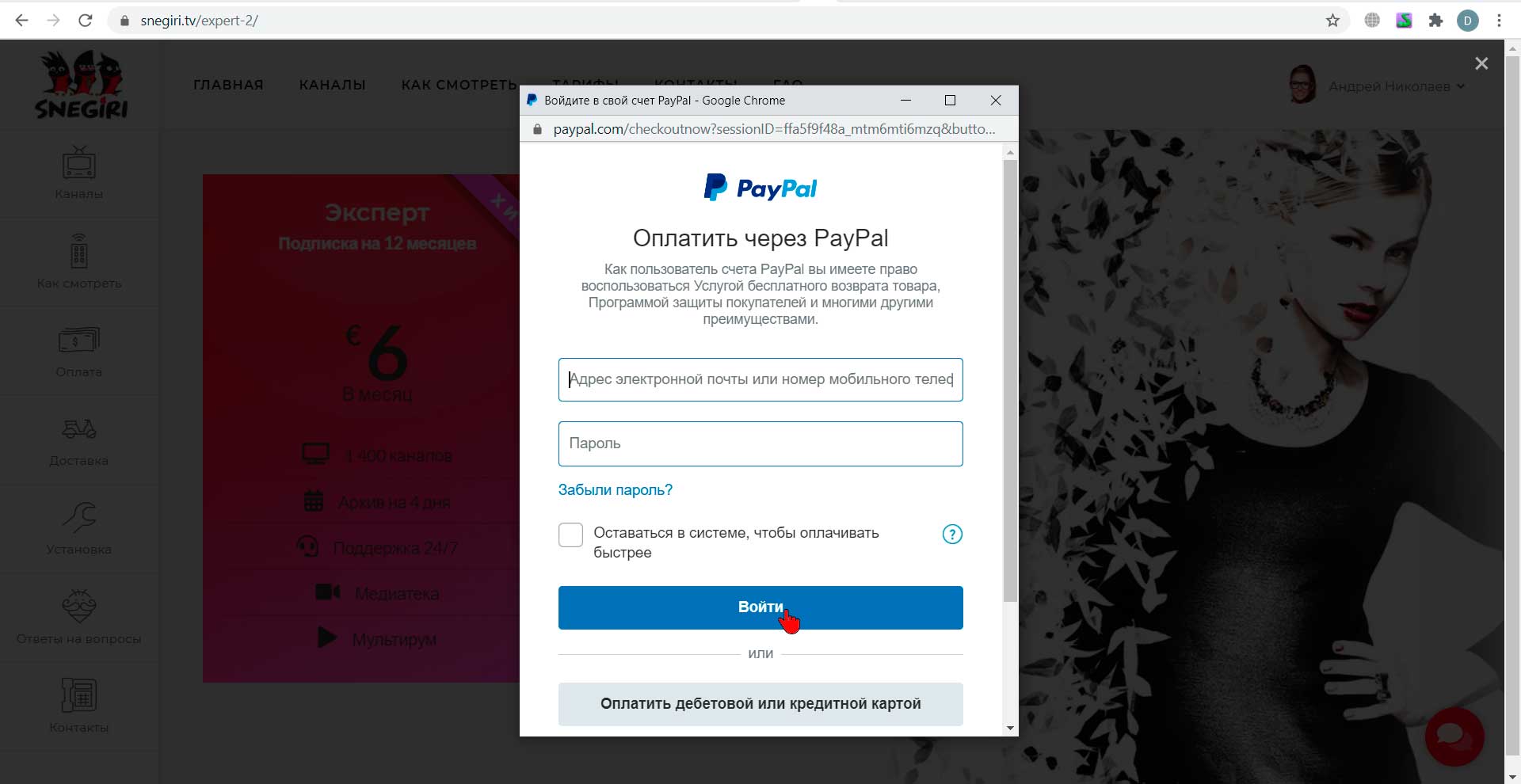 Оплата через PayPal